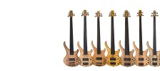 Bassline Buster CW fretless