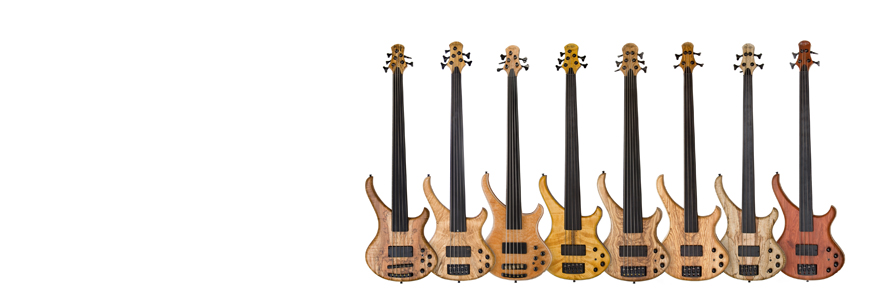 Bassline Buster CW fretless