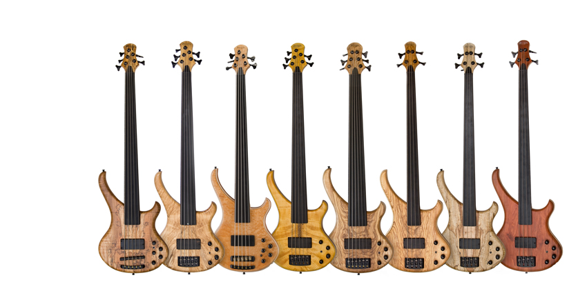Bassline Buster CW fretless